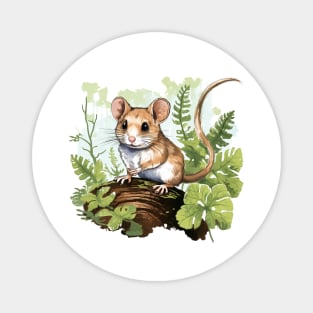 Dormouse Magnet